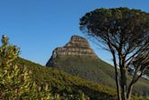 Lion's Head (Cape Town)