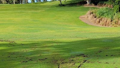 E-bike riders tearing up the greens at Mililani Golf Course