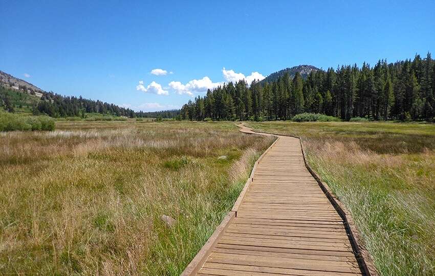 Humboldt-Toiyabe National Forest issued an emergency closure for the Davis Fire