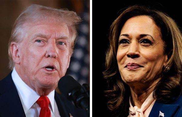 Debate showdown between Trump and Harris set for September