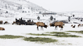 Hardware Ranch sleigh rides begin Dec. 1