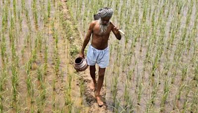 Neglect of agriculture R&D in budget risks India’s food security and growth