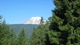 This tiny WA town has an annual town-wide flea market. It’s right next to a scenic lookout