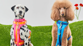 This Iconic New York Designer Just Launched A Fashion-Forward Collection With Your Favorite Pet Accessory Brand