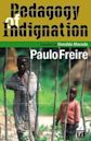 Pedagogy of Indignation (Critical Narrative)