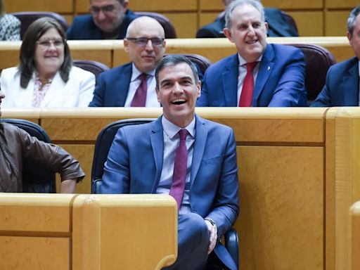 Pedro Sánchez se somete solo una vez al control del Senado en los siete meses de Gobierno: “Es una falta de respeto y una chulería más”