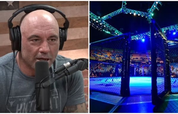 Joe Rogan suggests one major rule change that could revolutionise the UFC