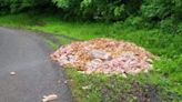 Video: Massive Mound of Meat Mysteriously Dumped on Side of Ohio Road | NewsRadio WHAM 1180 | Coast to Coast AM with George Noory