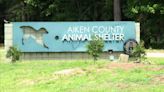 Group shares how they helped transform Aiken County Animal Shelter