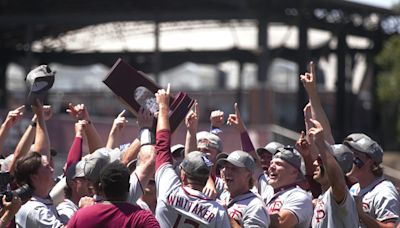 Florida State baseball adding to roster through transfer portal, who's in, who's out