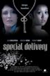 Special Delivery (2008 film)