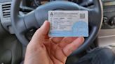 Sin tarjeta azul: qué documentación tenés que llevar en el auto | Sociedad
