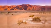 Dare to walk barefoot in Death Valley? This tourist sustained third-degree burns doing so