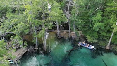 Florida man 'falls 60 feet' into spring after branch breaks: VIDEO