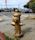 Golden Fire Hydrant
