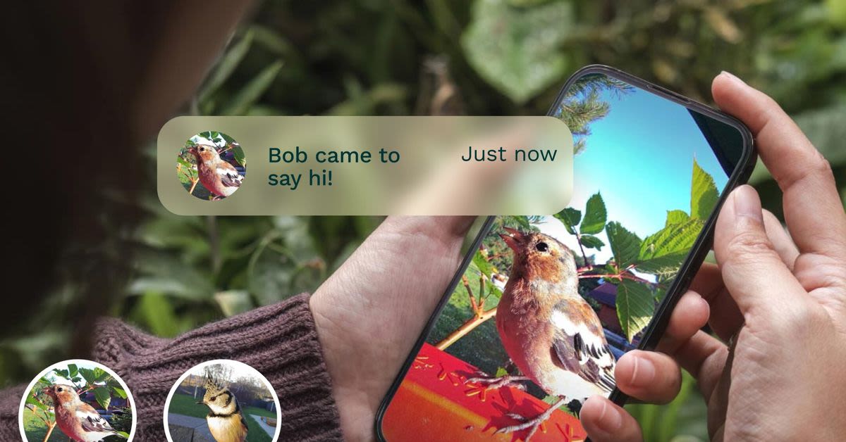 Bird Buddy’s new AI update lets you name your backyard’s frequent flyers