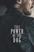 The Power of the Dog