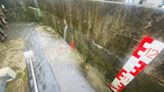 新北中午大雨 (圖)