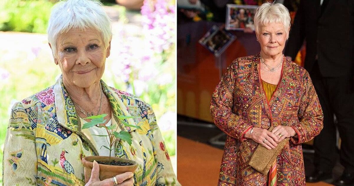 Dame Judi Dench admits she has no plans to return to acting due to health issue