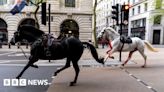 Runaway Household Cavalry horses still under full-time vet care
