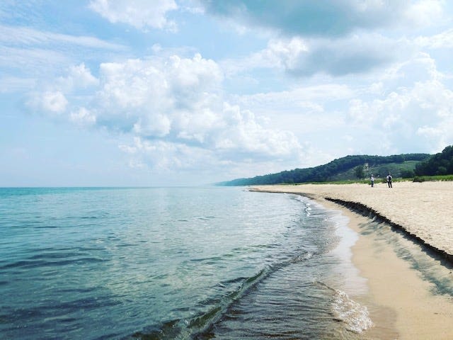 A Hiker's Path: Black oak savannas at Indiana Dunes National Park