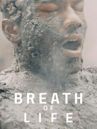 Breath of Life