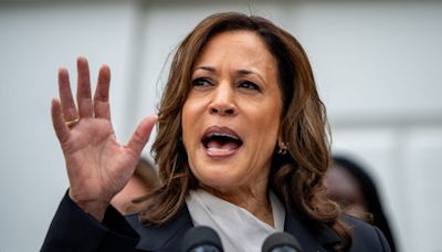 Kamala Harris Vets Veep List Full of Familiar Names