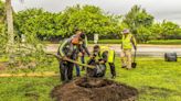 The 44 Percent: Miami-Dade’s tree-planting program, the Heat’s historic win, botched lethal injections, and film festivals
