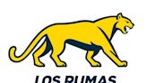Los Pumas: la imagen del Puma se separa del logo de la UAR: cuál es la justificación del cambio según los dirigentes