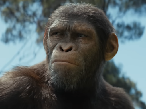 Kingdom of the Planet of the Apes' Home Media Release Will Include 'Raw' Version of Movie - IGN