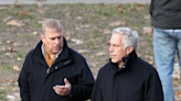 Prince Andrew named in court documents relating to paedophile Jeffrey Epstein