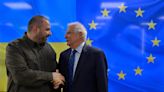 Russia could launch another major offensive after "elections" in March – Borrell