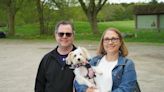 'They were pretty much everywhere': This Cambridge couple pulled more than a dozen ticks off their dog