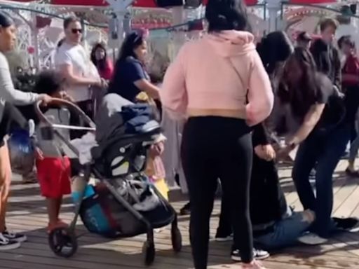 Wild fight breaks out between group of moms with strollers at Disneyland