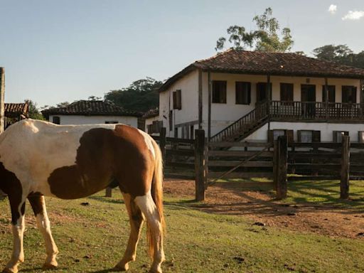 Minas Gerais: passeio em fazenda é viagem na história do queijo do Serro