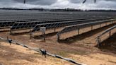 Insight: As solar capacity grows, some of America's most productive farmland is at risk