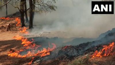 Jammu & Kashmir: Major forest fire rages in Gangera hills | Watch
