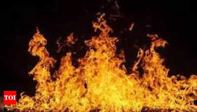 Girl, 6, ensures her siblings flee house on fire, but loses life | India News - Times of India