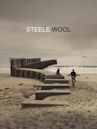 Steele Wool