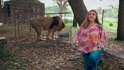 'Tiger King' star Carole Baskin seeks help from Florida Supreme Court after defamation suit