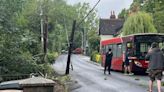 Photos show power cables down as major south Essex road CLOSED after 'crash'