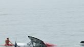 Video captures plane crash-landing in water 90 feet from beachgoers