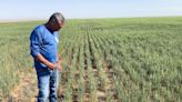 How the agriculture industry must adapt to megadrought in the West: Experts