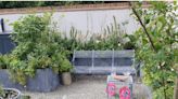 Why this German gardening technique is set to become the hot new DIY trend