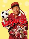 Ladybugs