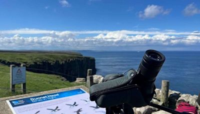 Make it count for nature at Dunnet Head