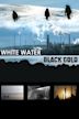 White Water Black Gold