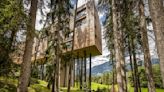 My Arbor: a unique treetop retreat in the Dolomite mountains