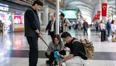 Perros adiestrados para desestresar a los pasajeros en el Aeropuerto de Estambul