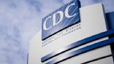 CDC emiten nuevas recomendaciones sobre la gripe aviar - La Opinión